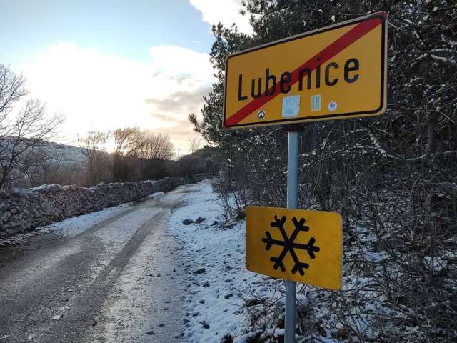 lubenice
