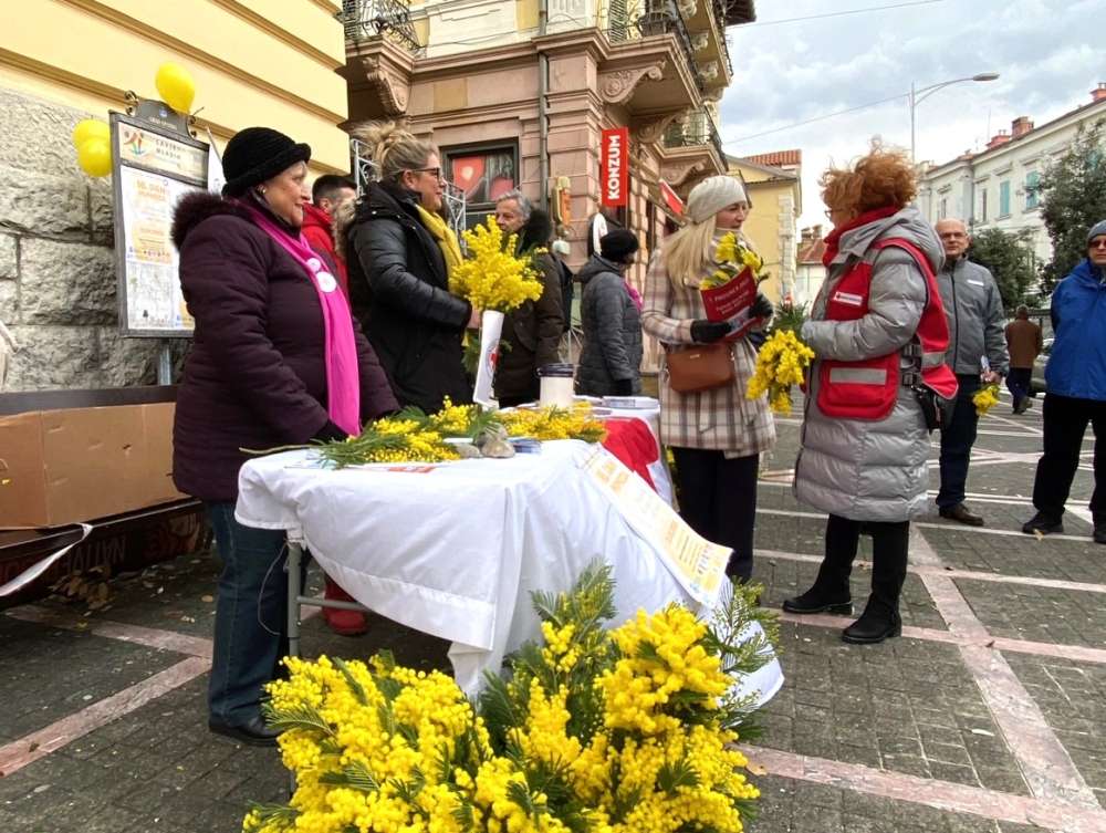 dan mimoza opatija