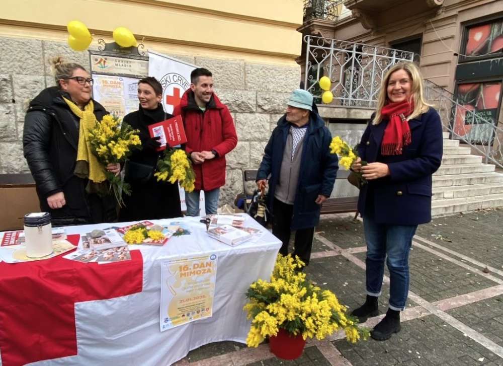 dan mimoza opatija