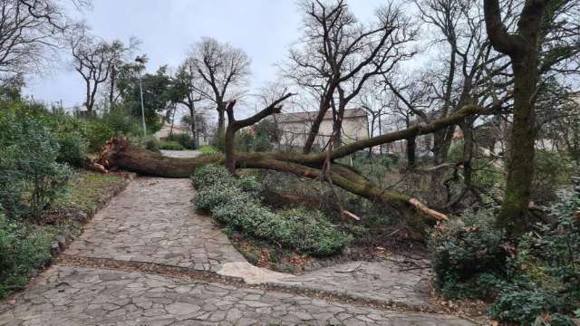 park mlaka park mlaka