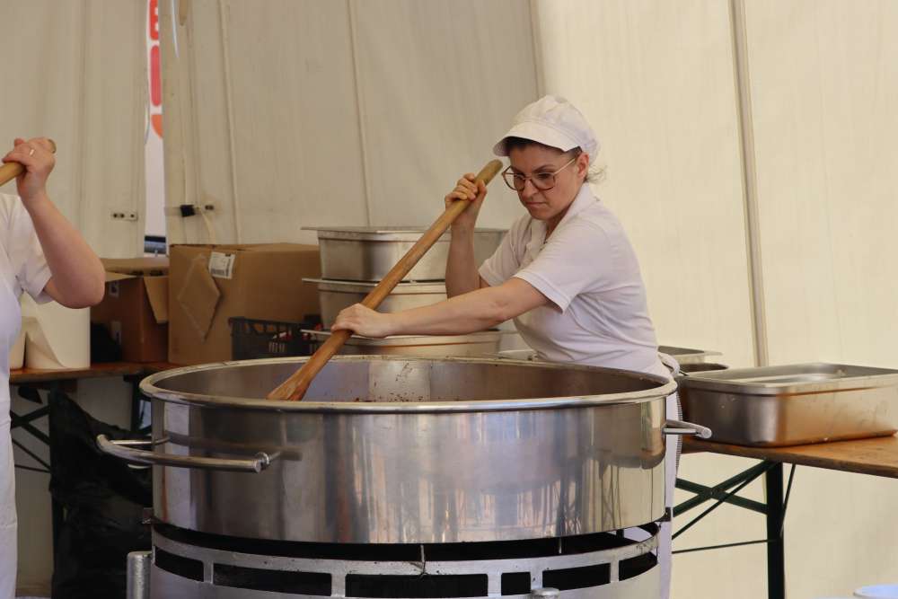 gastrofešta