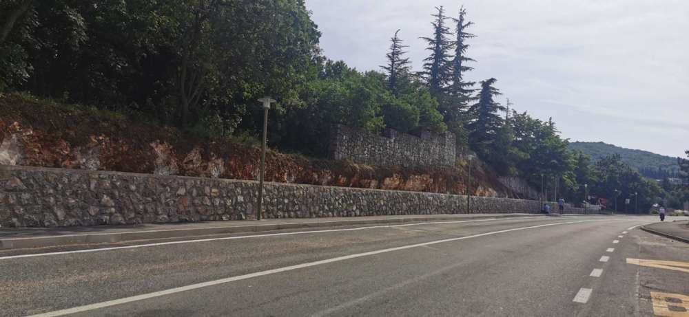 šodići