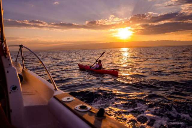 antonio bujačić antonio bujačić