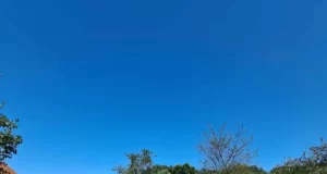 Kolumna “Kako diše tako i piše Frida Šarar” – Potok