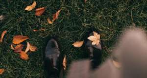 Kolumna “Kako diše tako i piše Frida Šarar” – Medij lekovite samoće: jesen jesen