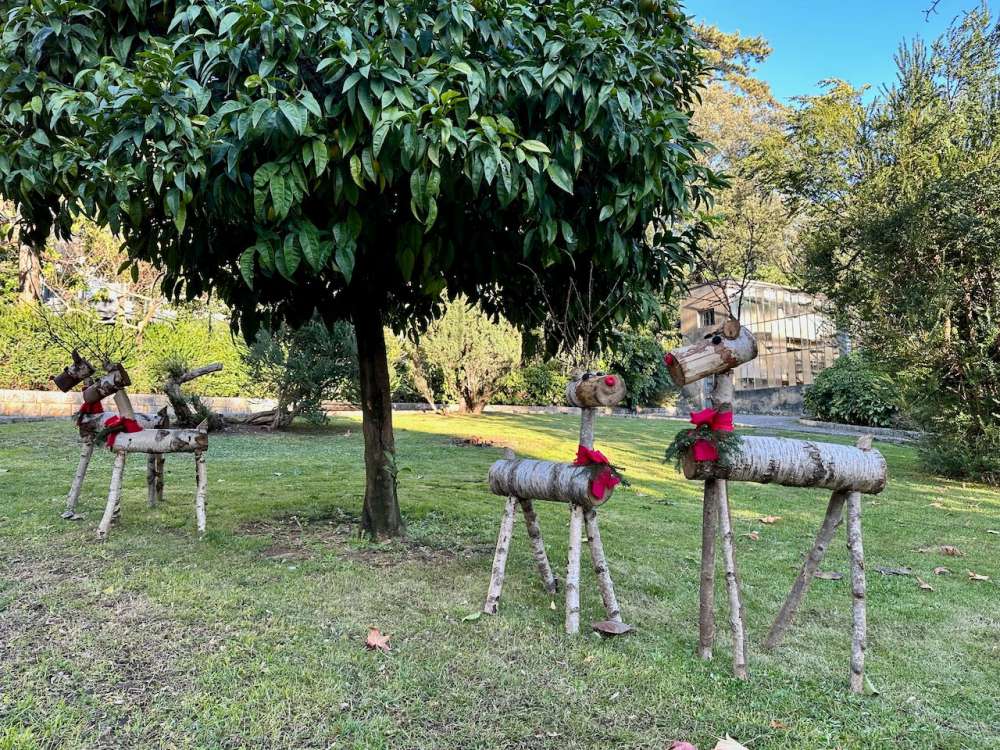 opatija advent