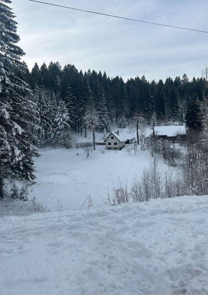 stara sušica