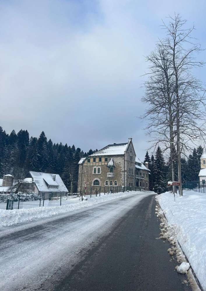 stara sušica
