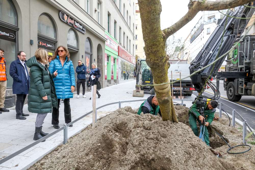 Sadnjom ekstra velikog drveća veći je pozitivni učinak na klimu © Christian Fürthner_PID