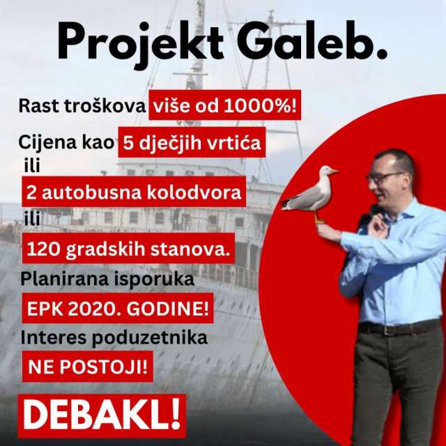 galeb