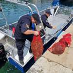 7. Eko patrola, NP Brijuni