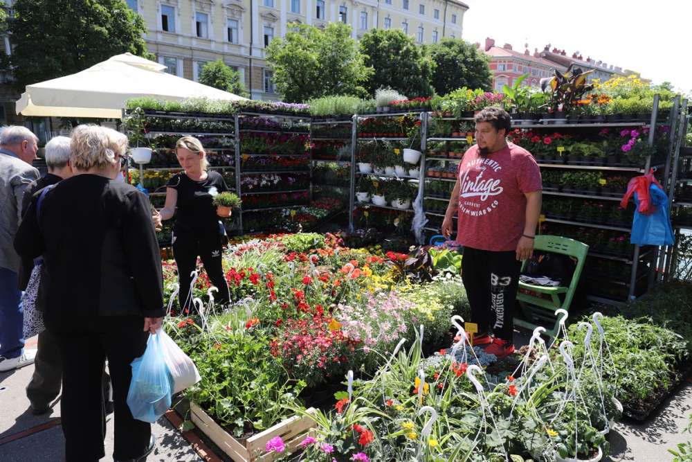 Cvjetni sajam kod Konta