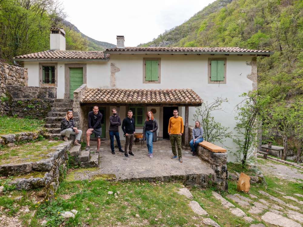 Kuća stabla svijeta