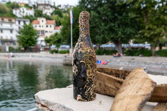 Vino i vruja Vino i vruja