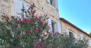 Kolumna “Kako diše tako i piše Frida Šarar” – Ostrvo frida šarar