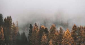 Kolumna “Kako diše tako i piše Frida Šarar” – Presveta jesen jesen