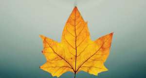 Stiže osjetno zahladnjenje i mraz – na Balkan vjerojatno i prvi snijeg jesen