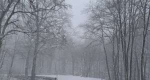 Snijeg zatrpao Hrvatsku, HAK izdao hitno upozorenje za vozače snijeg