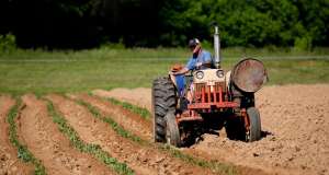 Uručeni ugovori za potpore u poljoprivredi za područje otoka i priobalja poljoprivreda