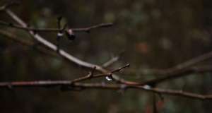 Snažna fronta pred vratima: Obilna kiša, olujan vjetar, snijeg… jesen