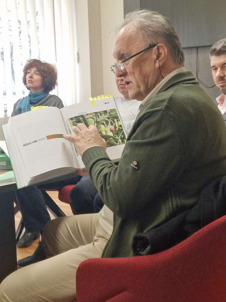 tržnice kroz vrijeme