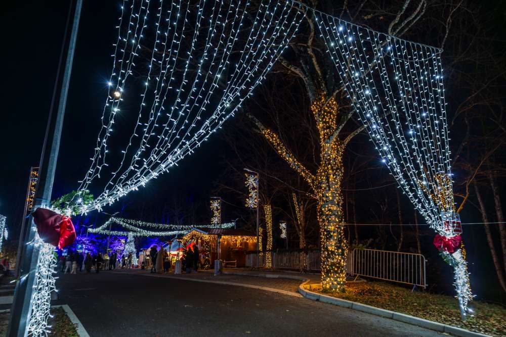 BOŽIĆNA BAJKA U PARKU PRIRODE UČKA