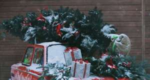 Kolumna “Kako diše tako i piše Frida Šarar” – Skladno preterivanje božić