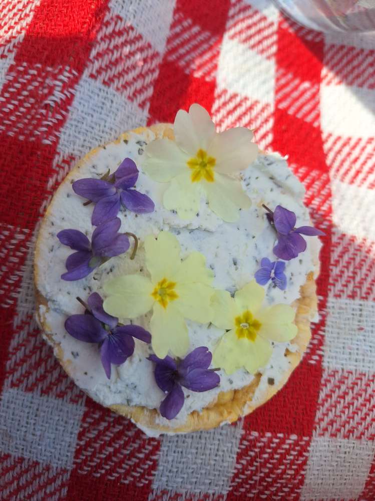 Leonora Surian Popov