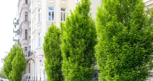Beč postavlja novi rekord u ozelenjivanju Lijeva obala rijeke Wien ozelenjena je © Stadt Wien / Christian Fürthner