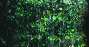 Ponovno prijete ekstremno obilne oborine kiša