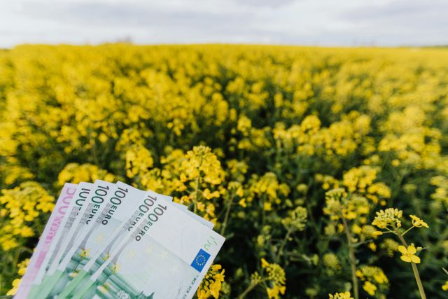 euro
