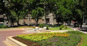 KD Čistoća dijeli cvatuće trajnice u Parku dr. Vinka Frančiškovića, u srijedu, 8. listopada Park-Vinka-Franciskovica