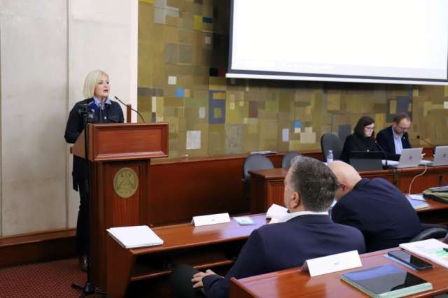 sjednica gradskog vijeća