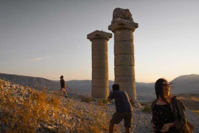 Suha trava Suha trava