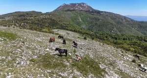 Kreće projekt restauracije i očuvanja ekosustava Park prirode Učka učka