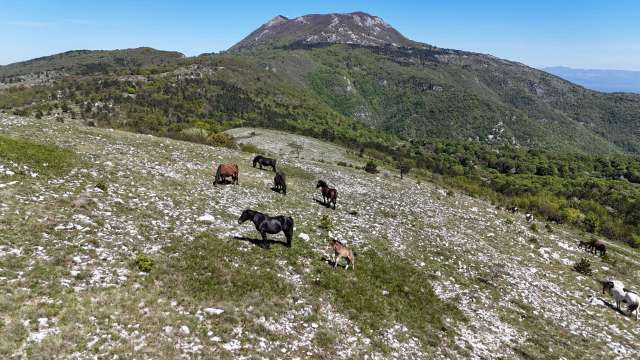 učka