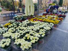 Na riječkoj tržnici bogata ponuda cvijeća uoči blagdana Svih svetih riječka tržnica