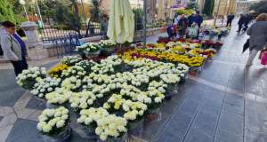 Na riječkoj tržnici bogata ponuda cvijeća uoči blagdana Svih svetih riječka tržnica