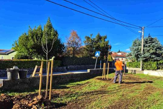 13 novih stabala u Viškovom za zelenu budućnost Sadnja stabala u Viškovu
