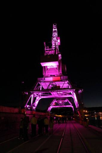 Obnovljene-lučke-dizalice-1 (1)