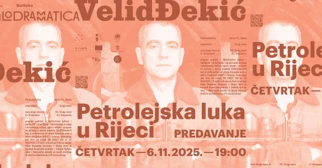 Predavanje Velida Đekića, vizual