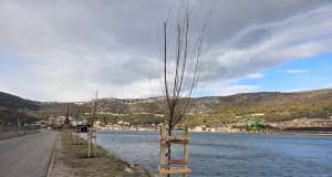 TZ Grada Bakra sadnjom stabala pridružila se projektu “Croatia Naturally Yours”