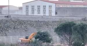 Bageri srušili drvored na Vežici: Plodine grade, a Rijeka gubi pluća grada