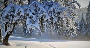 Stiže nam prava zima: snijeg će padati danima