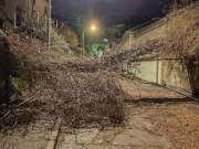 Narančasti alarm zbog bure: Riječke interventne službe u pripravnosti