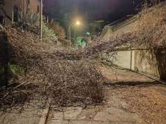 Narančasti alarm zbog bure: Riječke interventne službe u pripravnosti