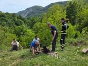 Vatrogasci i mještani spasili ždrijebe iz provalije kod Lopače