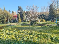 Prvi maj se nakon dugo godina vraća u Park Mlaka: donosimo detaljan program proslave u Rijeci