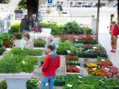 Sajam cvijeća povodom Dana planeta Zemlje vraća proljetni ugođaj u Gradski vrt