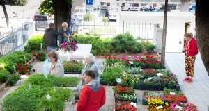 Sajam cvijeća povodom Dana planeta Zemlje vraća proljetni ugođaj u Gradski vrt